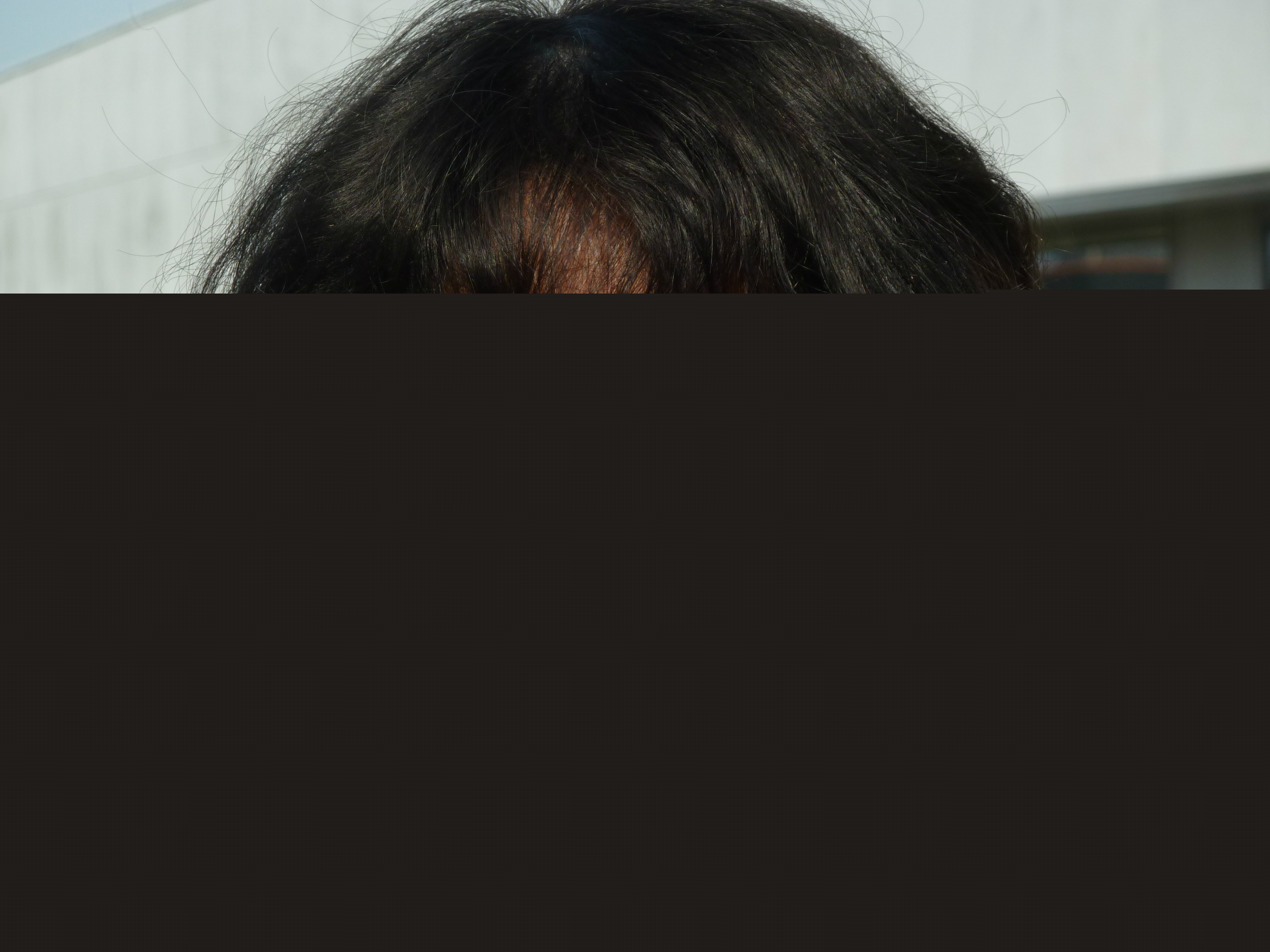 Sylvie Denis